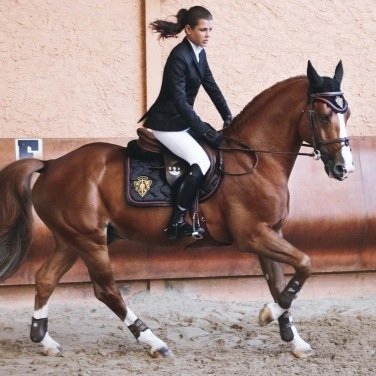 jumpers365's profile picture. zone 10. the A circuit. USEF high school athlete, JW ambassador, & Luvly Girl. heels down, chin up