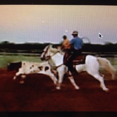 PW1ll1S_21's profile picture. Cowboy up:  HSU : team roping PRCA