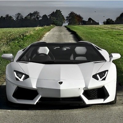 Exotic_Whips's profile picture. 