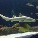 Hugo Barron - @hugobarronglez - Twitter