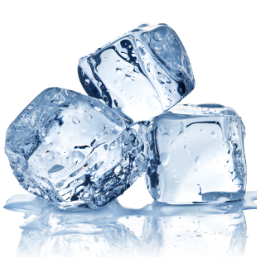 becoolorbeafool's profile picture. Ice, ice baby.