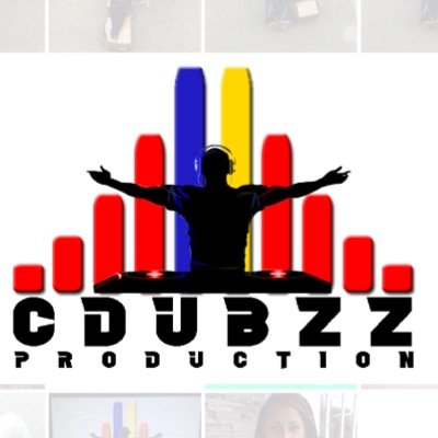 Audio Rental, Dj & Sound Technician Services Based in Toronto looking to expand to other cities in the GTA! For more info email us at cdubzzproduction@gmail.com