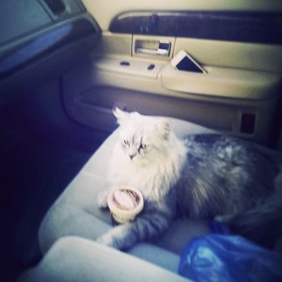 snote2236's profile picture. 