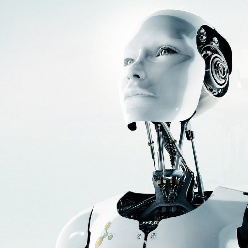 half bot,
