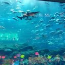 Fred He - @He75He - Twitter