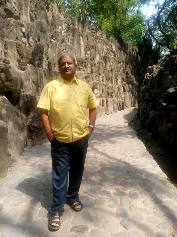Professor in University