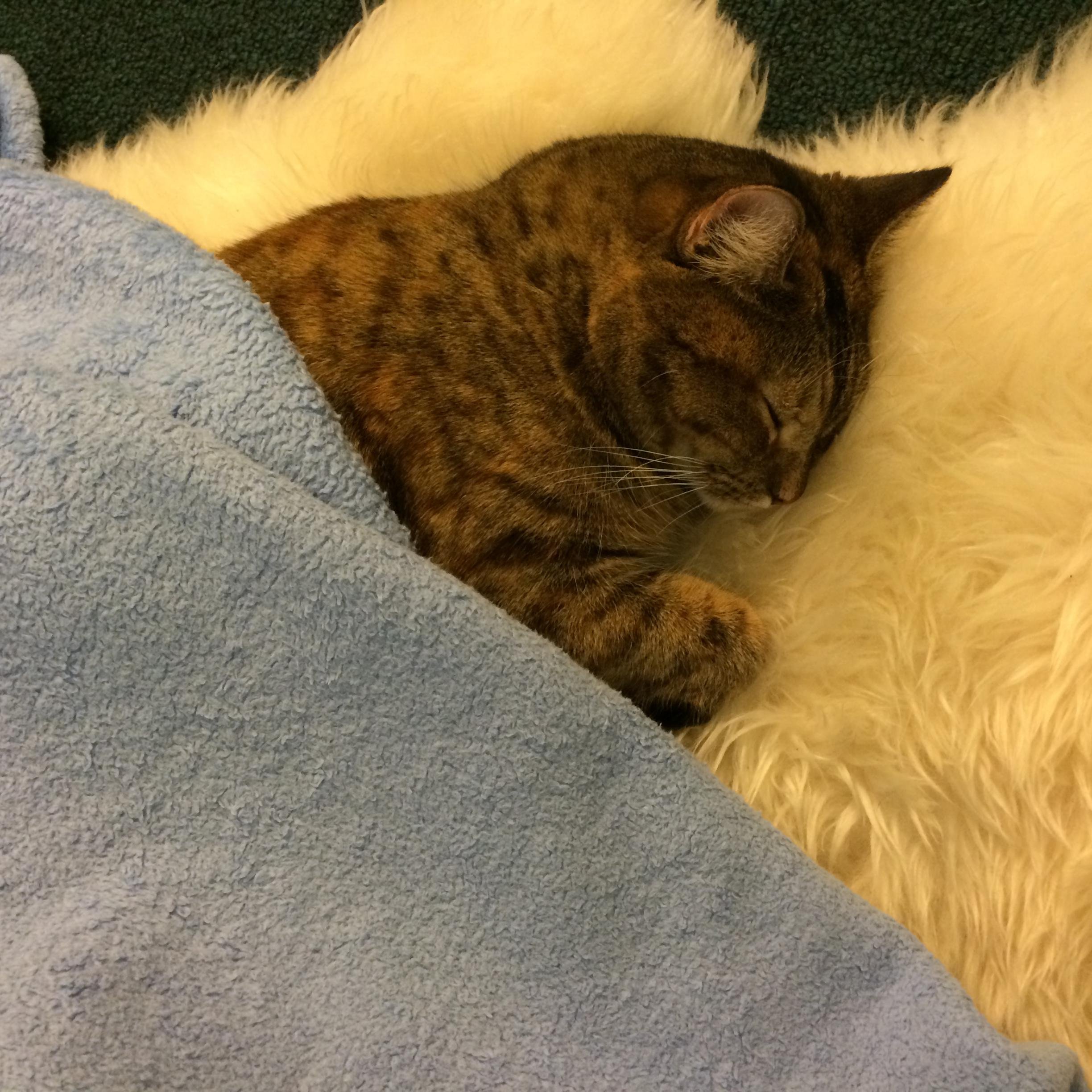 Imagest108's profile picture. 