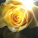 terianne gray - @TerianneG - Twitter