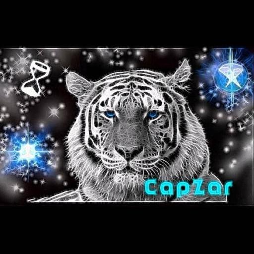 Hey guys, I'm a pretty new youtuber and I play games such as Minecraft, CS:GO, TF2, and Garry's Mod. Please check out my youtube channel: MCCapZar.