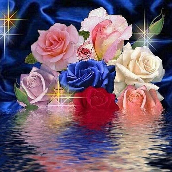 flowers and retwet