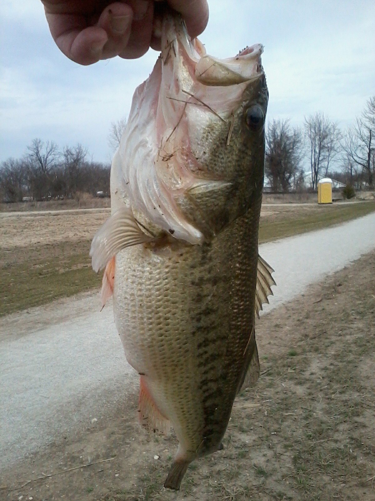 ltmdl27's profile picture. 