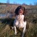 Paul Redman (@paulredman11) Twitter profile photo Paul Redman (@paulredman11) Twitter profile photo