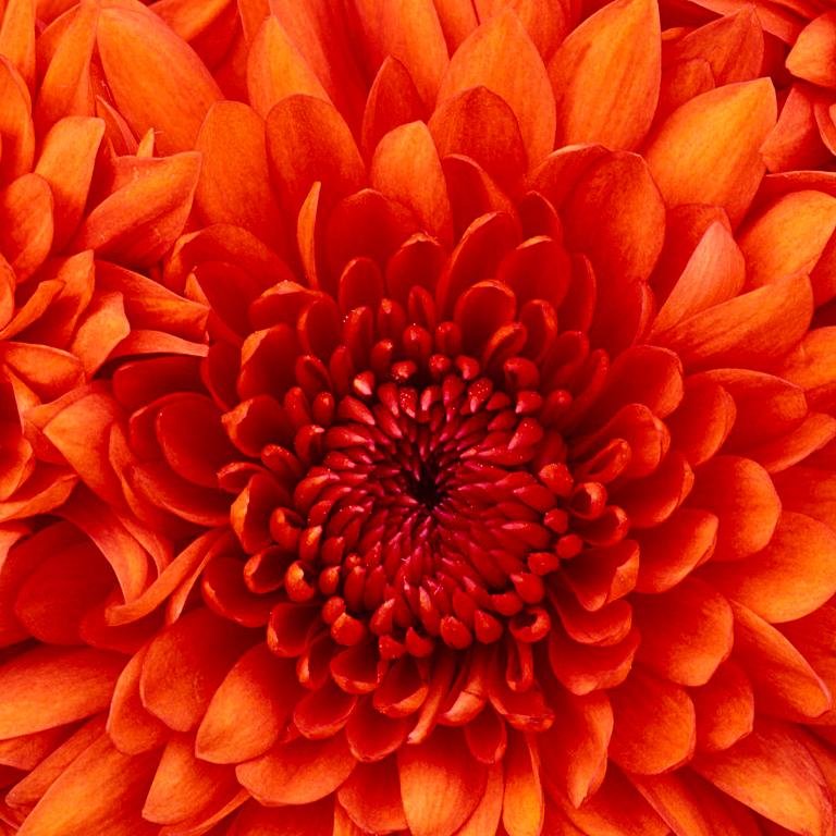 rakana3366's profile picture. 