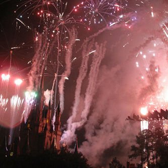 a799_a's profile picture. 