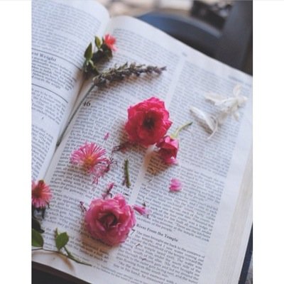 ♥️Quotes That You May Resemble To♥️