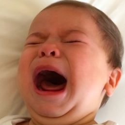 george_thegrump's profile picture. Grumpy Baby Extraordinaire