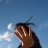 lorena_arbore's profile image