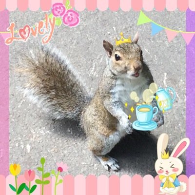 ♪♬ La la ♪ lala la ♩♫ ♬ ♭ ♪ ♥ εïз ♥ ❀