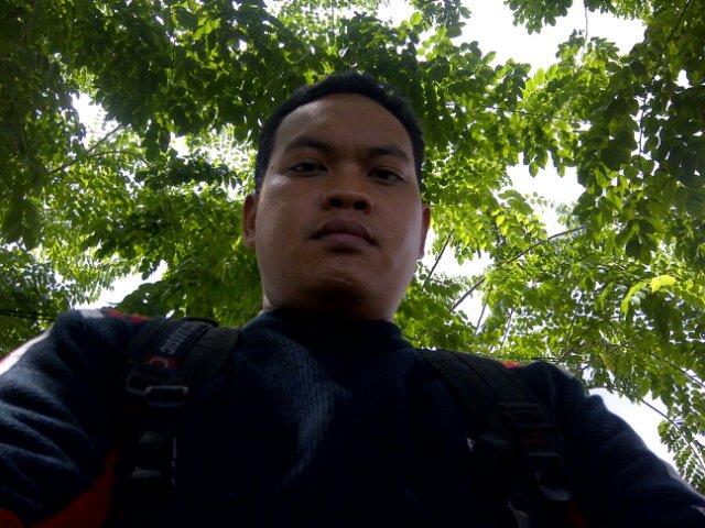 Asoy geboy 2739B0E7