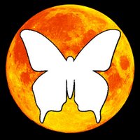 Bfly_Obsession (@bflyobsession) 's Twitter Profile