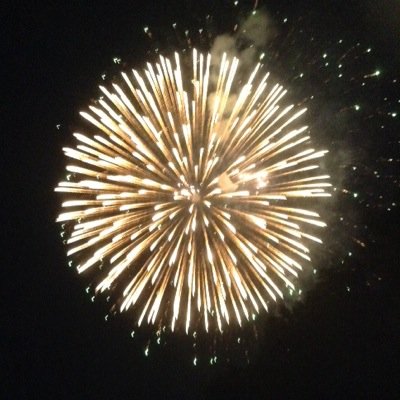 1go_saku's profile picture. でろ〜ん