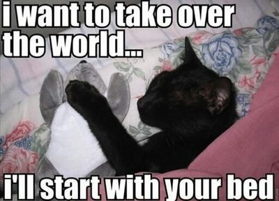 MullarRice's profile picture. 