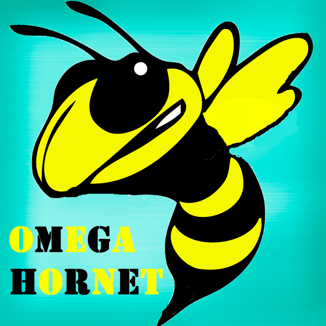 OmegaHornet is a Minecraft server network. (IP: COMING SOON)