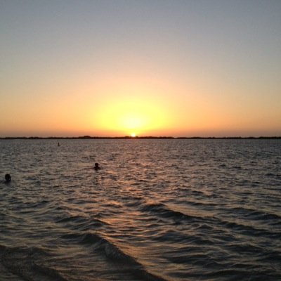 smsom951's profile picture. على الله ..