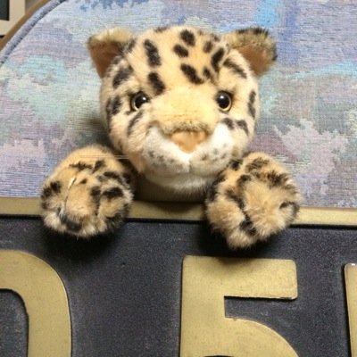 福井の鉄。北陸本線を再現した巨大レイアウト製作中。撮り鉄は引退しました。https://t.co/87i68o8wep