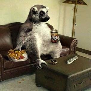 point_leo2's profile picture. 