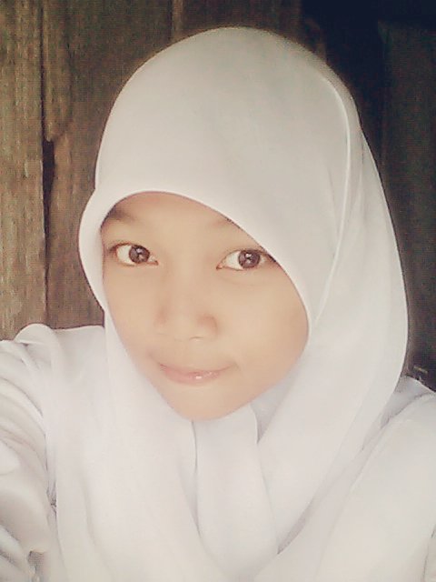 Pecinta kpop