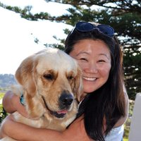 RecipeTin (@recipe_tin) 's Twitter Profile