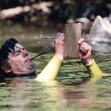 David Bellamyさんのプロフィール画像