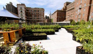 TheGreenSquadnl's profile picture. Coming soon!