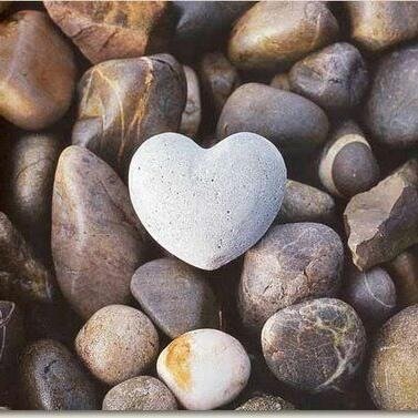 Happiness, compassion and meditation! The must in my life.
Mare e collina, e buona terra, quella della Romagna!