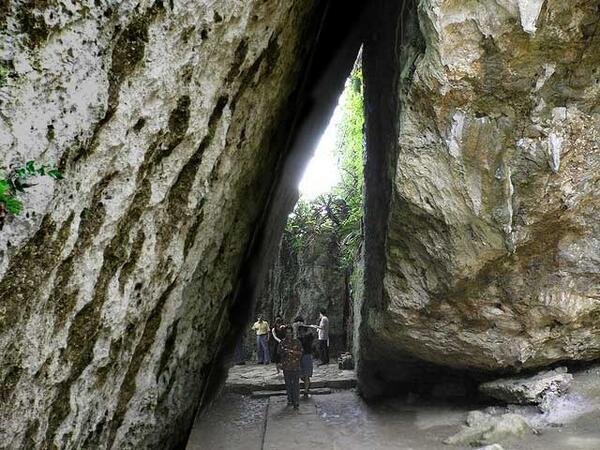 airplane6066's profile picture. 猫とバイクと自然が大好き