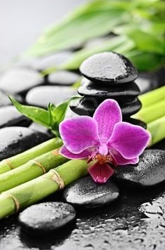 Fisioterapia y Rehabilitación. 944109995 . 634438119.