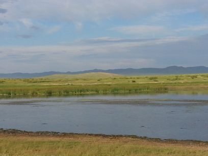 tsatsaa1a's profile picture. 