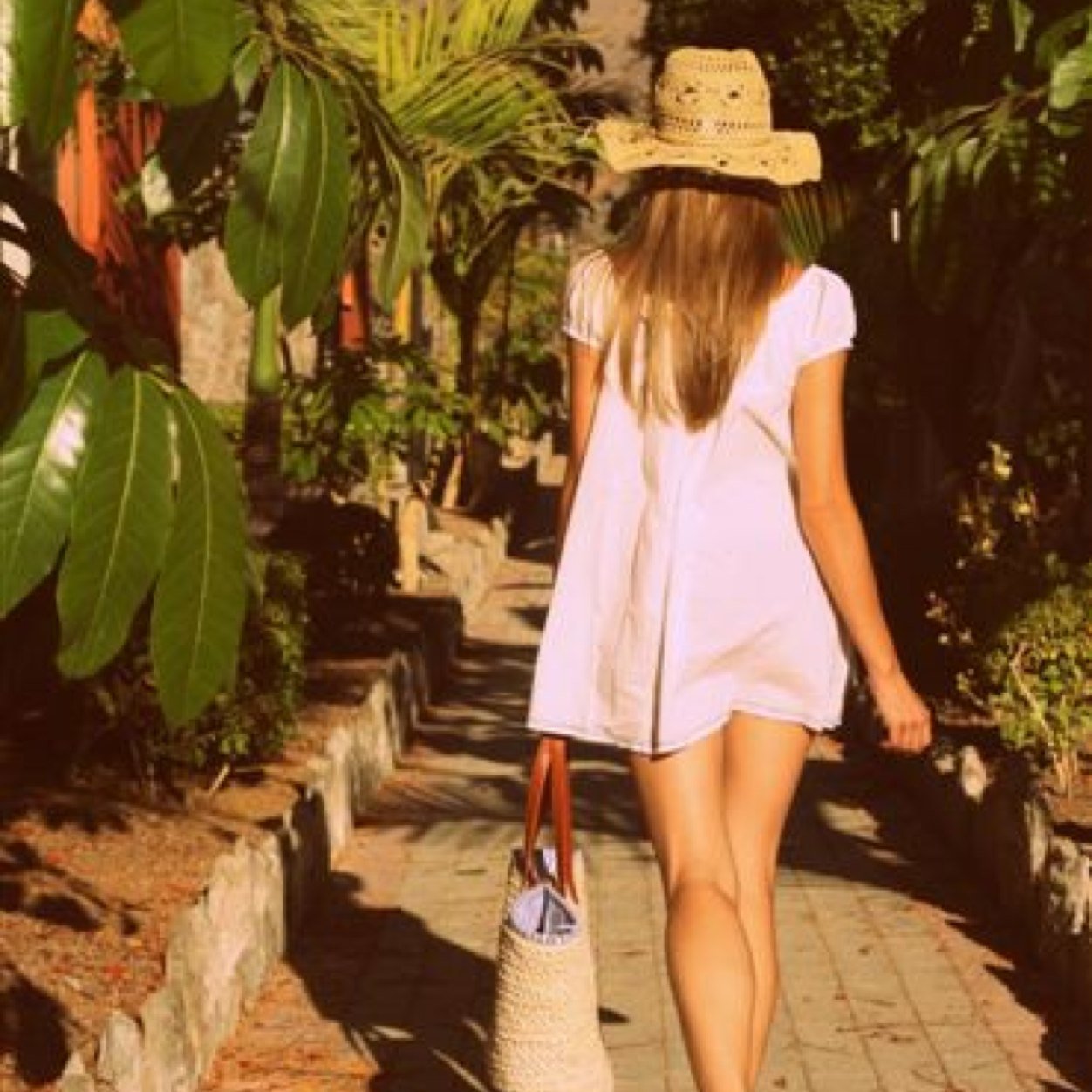 montsecaputto's profile picture. Economista 🇪🇸