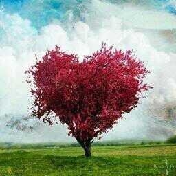 EsReflexionesEs's profile picture. 