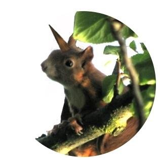 flashfrog's profile picture. Literatur. Kunst. Satire. Irgendwas mit Internet. Privatstrand. Be nice. No politics peleeeze.