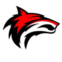 WBI (@wbi_timberwolf) Twitter profile photo
