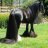a123a1234433's profile image