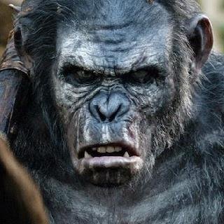 TheNiggaKoba_'s profile picture. Koba is KING, tht nigga Caesar will get whats coming 2 him bitch