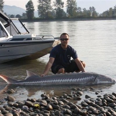 rigy20's profile picture. 