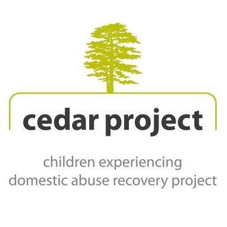 Evidence-based, multi-agency initiative supporting children, young people and mothers in their recovery from domestic abuse.