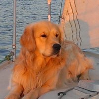 mogsfree (@mogsfree) 's Twitter Profile