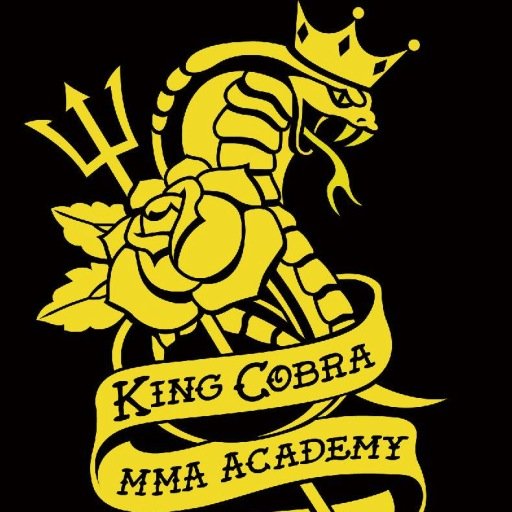 07939 907061 -Technique and conditioning trainer and fully qualified ABA Boxing and mixed martial arts trainer