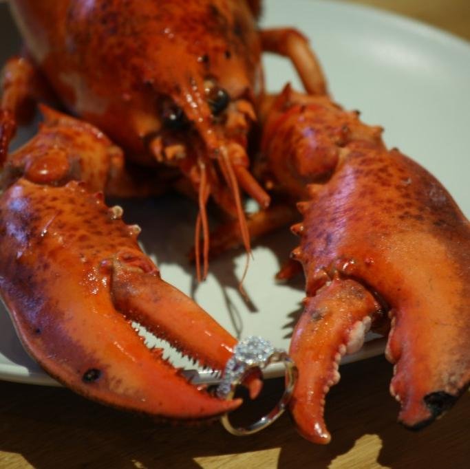 katandpeter's profile picture. 