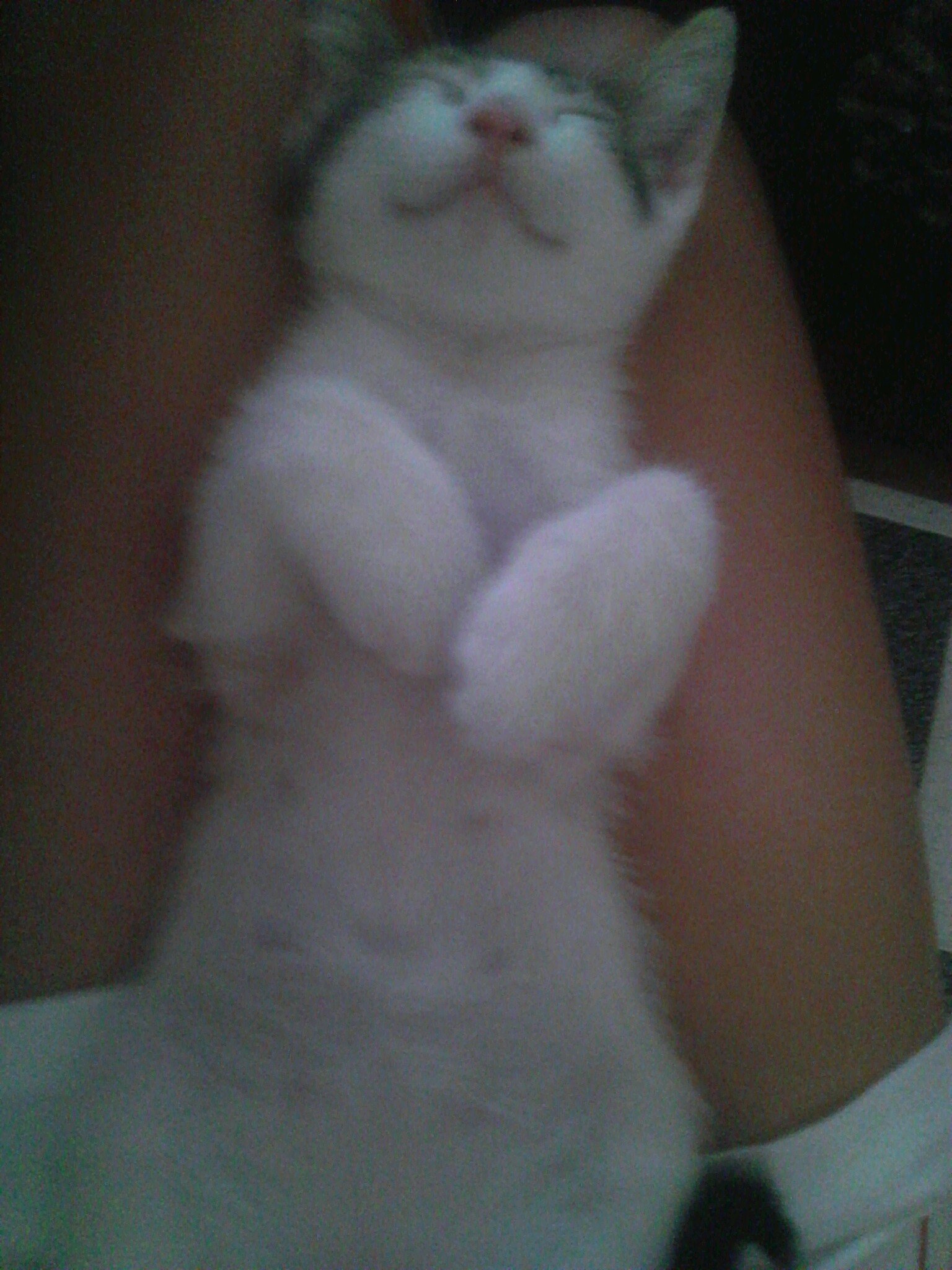 Devuelvo Seguidores ^^